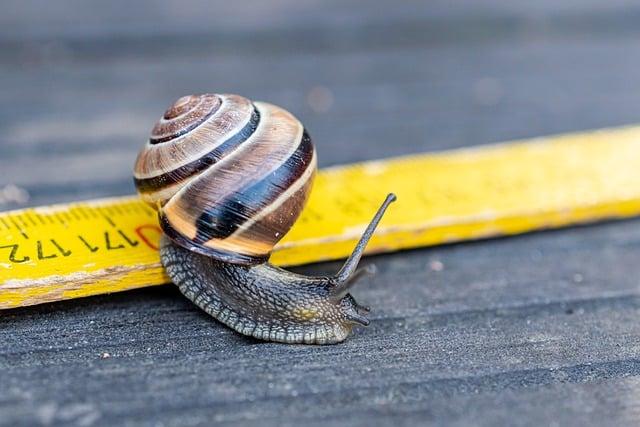 Kročte štýlovo a zodpovedne: Slow fashion obuv