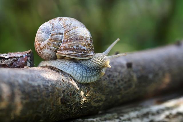 Ako ušiť rukáv na šaty: Dokonalý strih pre každú postavu