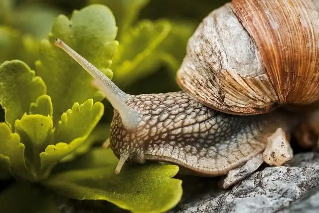 Ako začať podporovať slow fashion: praktické tipy a odporúčania