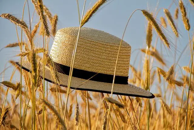 Letné‌ dažďové trendy: Ako si vybrať štýlový​ outfit?